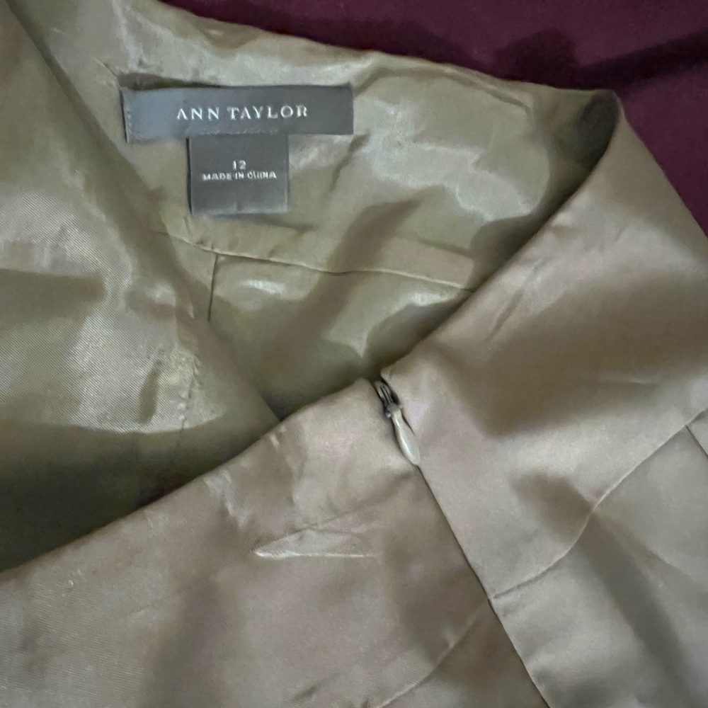 Ann Taylor Size 12 Oat Tan Brown Floral Lace Print Pleated Midi Skirt - Picture 3 of 7